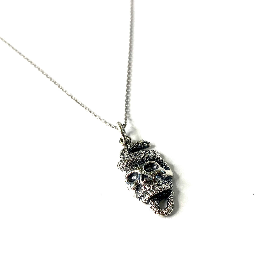 Skull and Snake Necklace