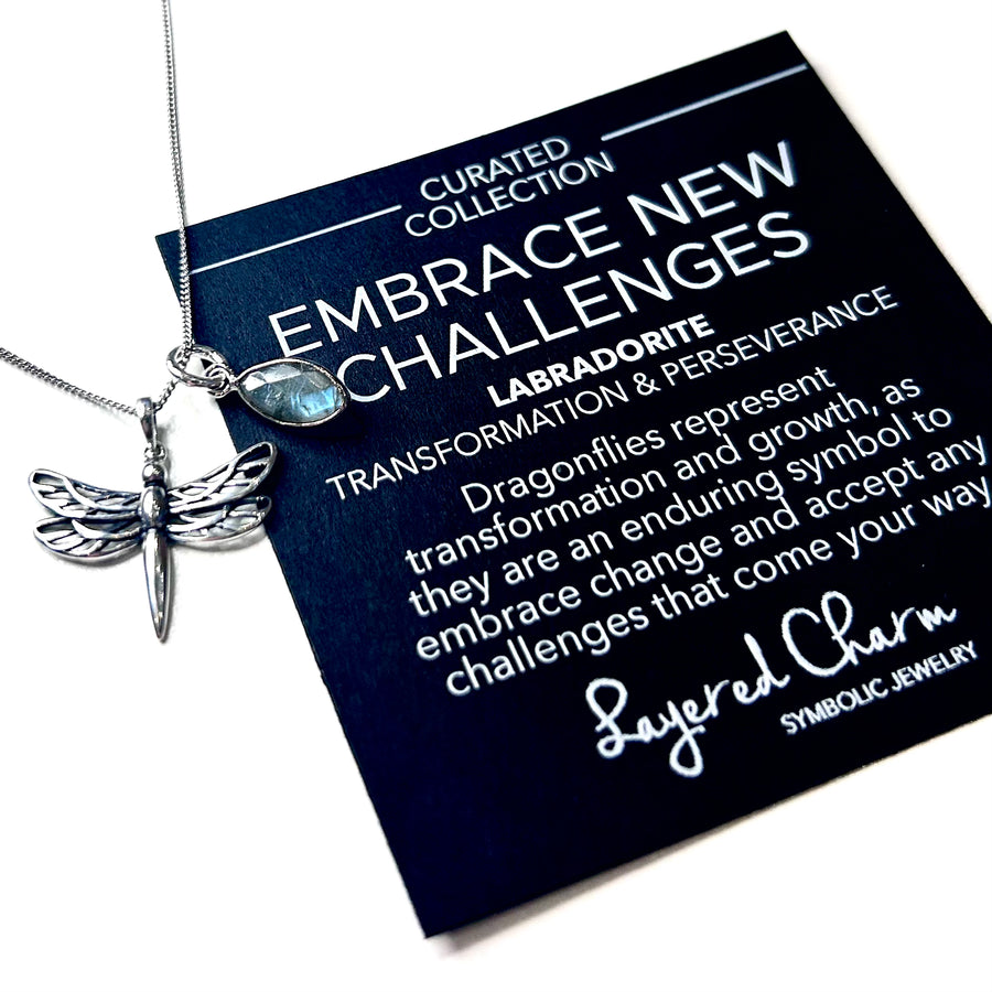 Embrace New Challenges