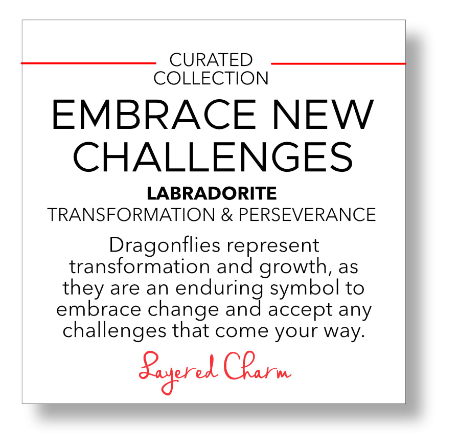 Embrace New Challenges