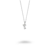 Dog Bone and Paw Necklace