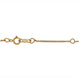 14KT Gold Filled 1mm Curb Anklet