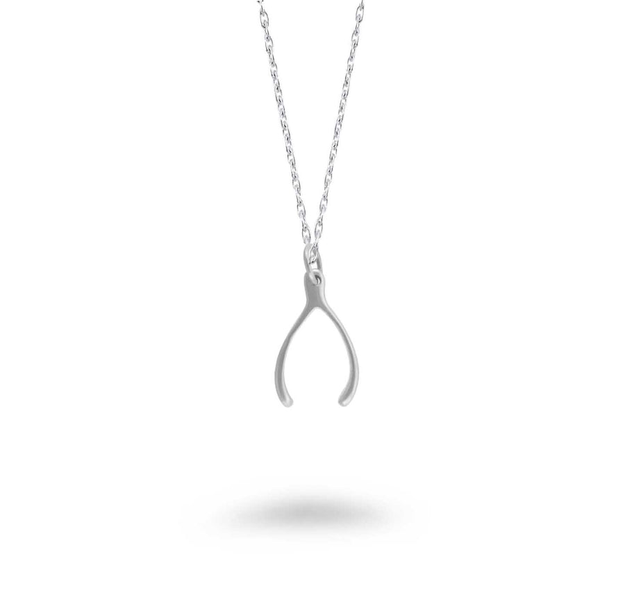 Medium Size Wishbone Necklace
