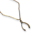 Medium Size Wishbone Necklace
