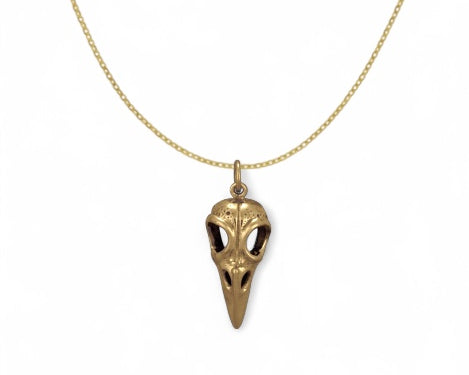 Large Bird Skull Necklace