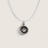Paw Print on My Heart