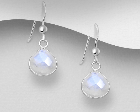 Shepherd Hook Drop Gemstone Earrings