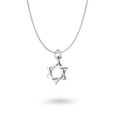 Smooth Star of David Necklace