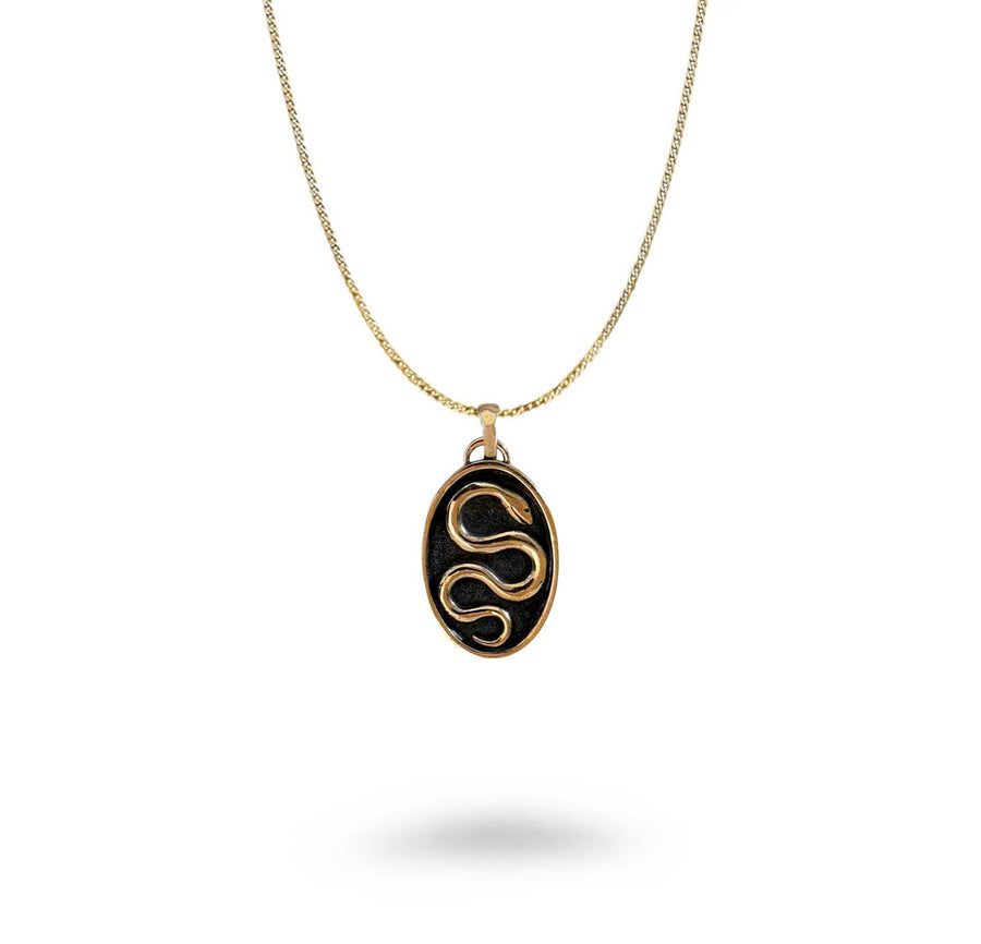 Bronze Snake Talisman Necklace