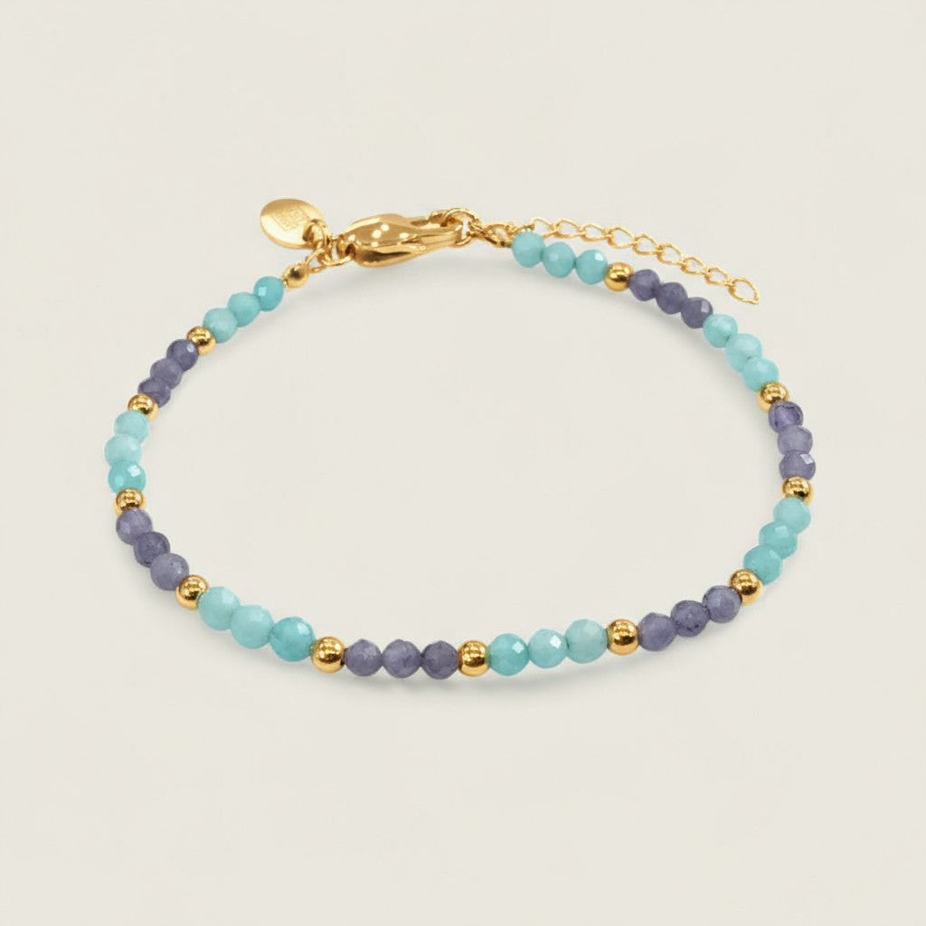 Steel Duo Gemstone Chain Bracelet