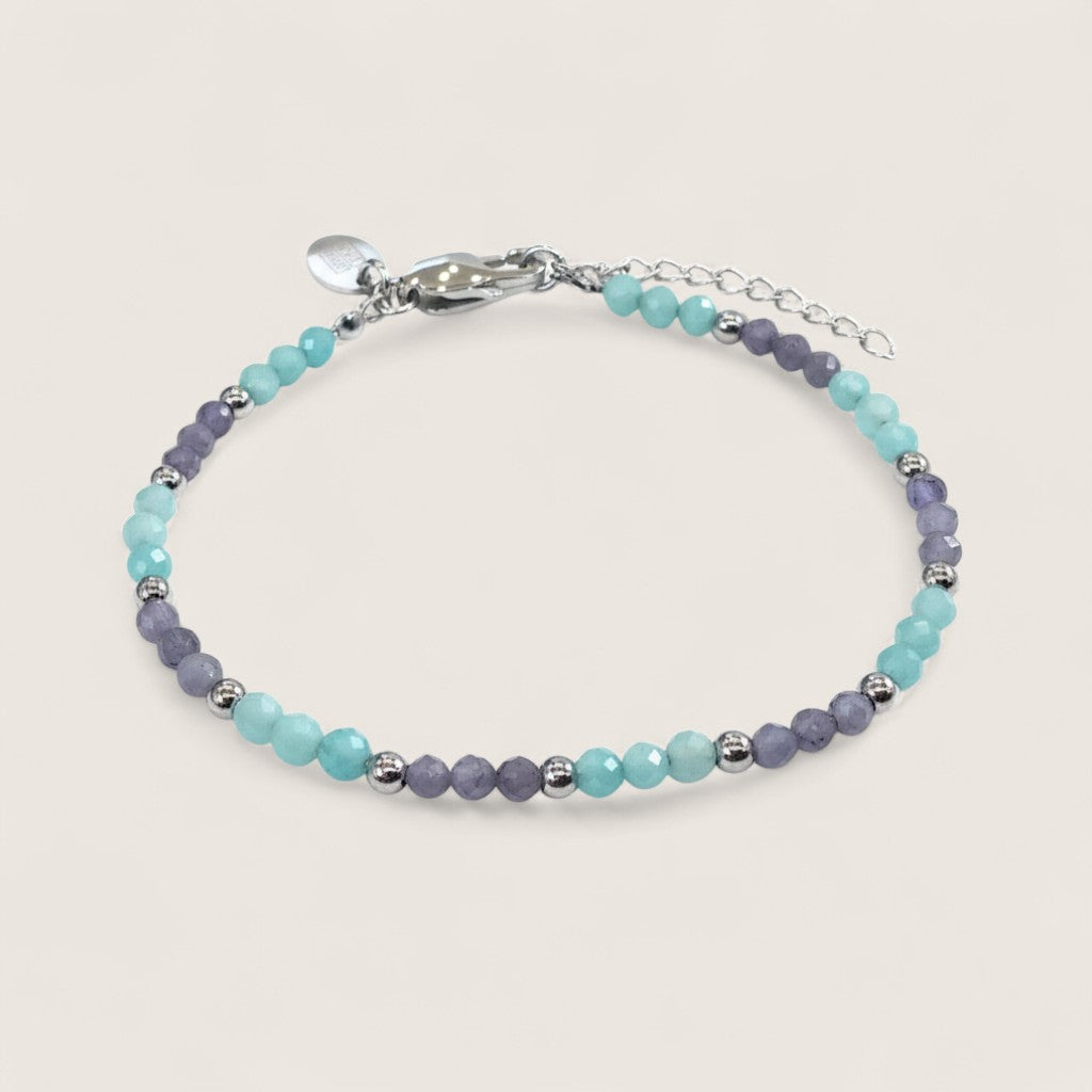 Steel Duo Gemstone Chain Bracelet