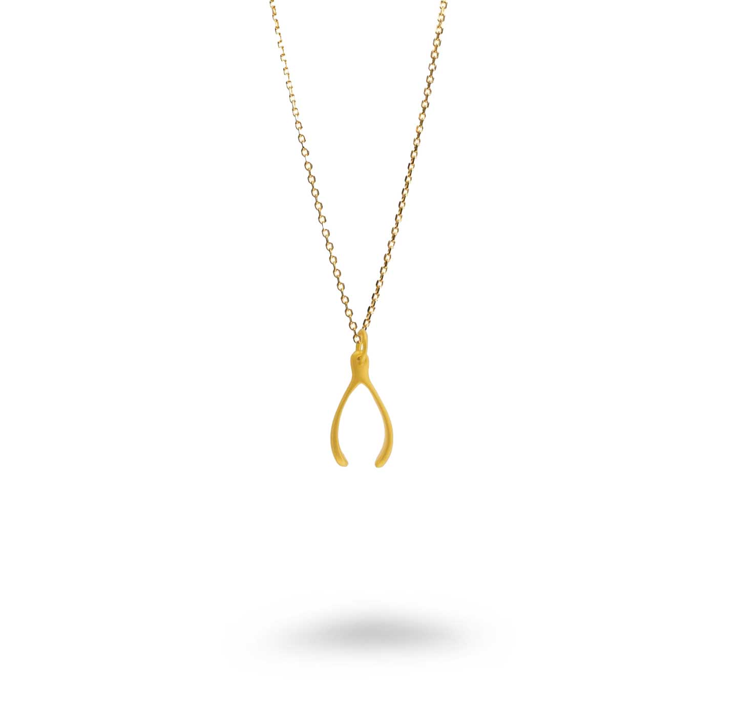Medium Size Wishbone Necklace