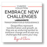 Embrace New Challenges