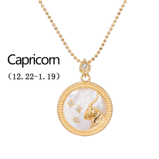 Gold Plated Zodiac Symbol Necklace