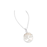 Circle Shell Tree of Life