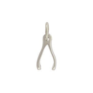 Small Wishbone Necklace
