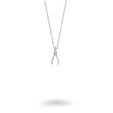 Small Wishbone Necklace